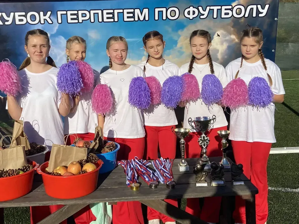 Кубок Герпегема