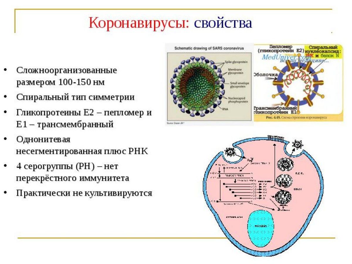 Метод коронавируса