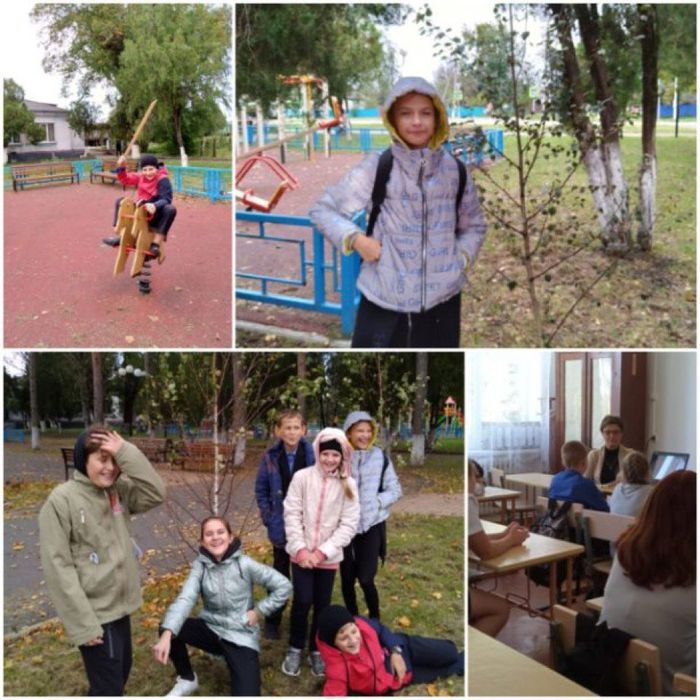 Объединение "Школьное лесничество "Дубрава" провело осеннюю инвентаризацию саженцев березы в парке села Шедок.